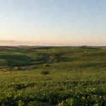 Paisagem rural brasileira com plantações e conexão via satélite Starlink para produtores