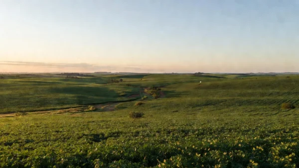Paisagem rural brasileira com plantações e conexão via satélite Starlink para produtores