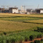 Terras agrícolas no Brasil com data centers de IA em construção