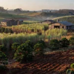 O jovem Lucas Roncoleta, de 15 anos, aprende com o pai, Sérgio, os valores e práticas da agricultura — Foto: Reprodução / TV TEM