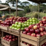 Maçãs em caixas em mercado brasileiro representando alta de preços