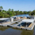 Fazenda leiteira flutuante em rio brasileiro sob luz natural