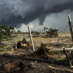 Foto: Divulgação/Sistema FAEP
