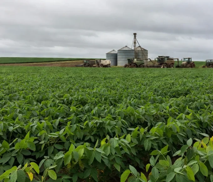 Crise no campo: pedidos de recuperação judicial saltam entre produtores rurais — Foto: Foto de setengah lima sore