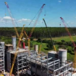 Foto: Arauco/Divulgação