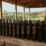 Foto: Di Fontoura/Divulgação