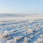 Geada em campos rurais do Sul do Brasil conforme previsão do INMET
