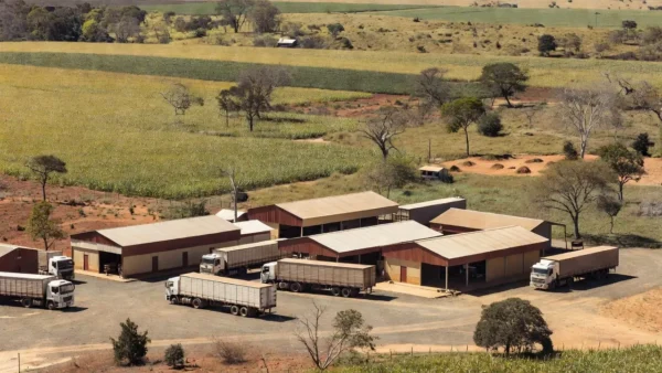 Centro de distribuição da Luft Logistics; empresa testa modelo de unidades menores e mais próximas das regiões produtoras. Crédito: Luft Logistics/Divulgação.