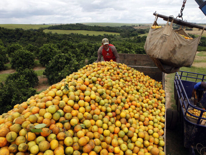 Foto: REUTERS/Paulo Whitaker