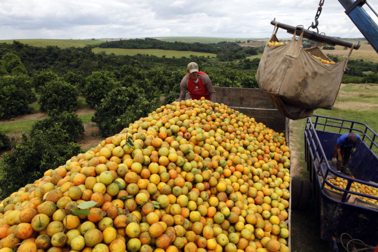 Foto: REUTERS/Paulo Whitaker