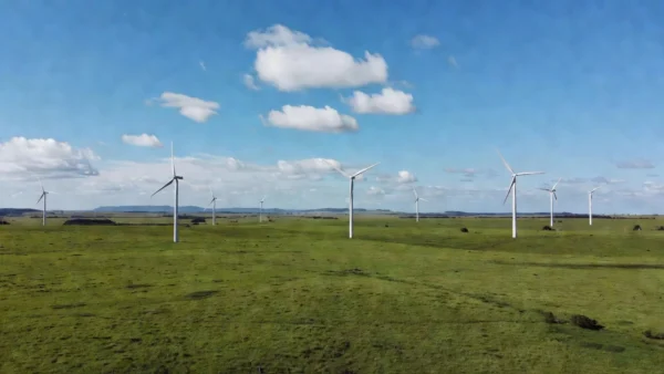 Turbinas eólicas em fazenda de pecuária no Brasil