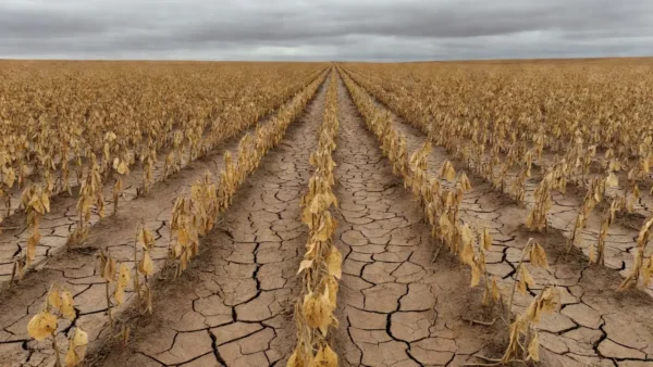 Super El Nino (Foto: Pixabay) Feed TV