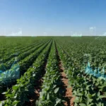 Plantação de soja no Brasil com elementos digitais representando a plataforma AgriHub da Embrapa