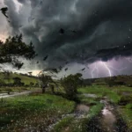 Tempestade com ventos de 100 km/h e granizo em estados brasileiros, alerta Inmet