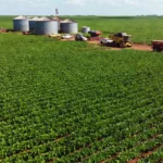 Profert entra em vigor e fixa mistura mínima de fertilizante nacional a partir de 2027