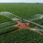 Irrigação agrícola em lavoura de soja no Brasil