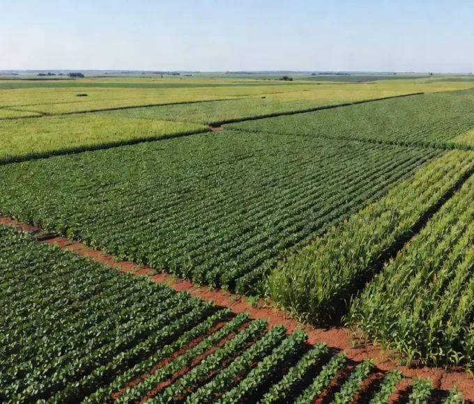 Vista aérea de lavouras de soja e milho no Brasil representando produção agrícola