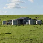 Foto: Rejane Costa/AgroEffective