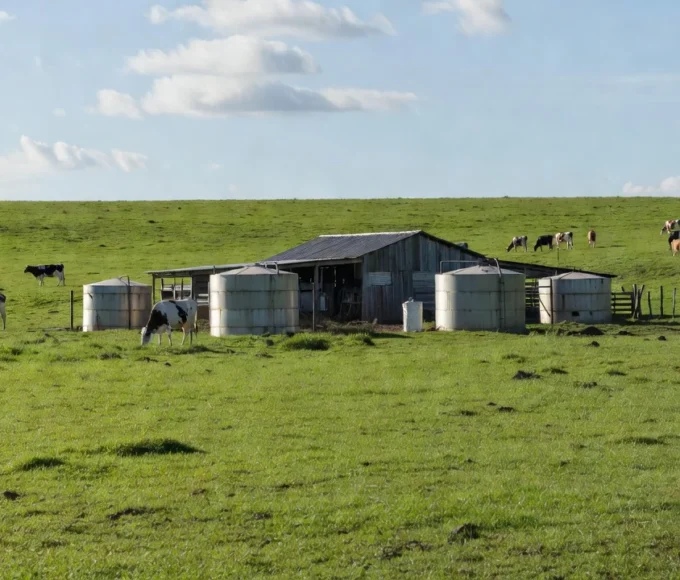 Foto: Rejane Costa/AgroEffective