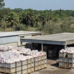 Instalações de processamento de miúdos suínos no Brasil para exportação
