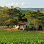 Fazenda preservada com plantações de soja no Brasil