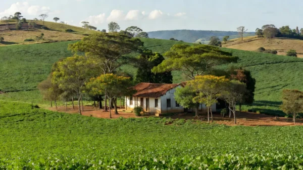 Fazenda preservada com plantações de soja no Brasil