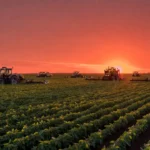 Lavoura de soja no Brasil com equipamentos de agricultura de precisão sob céu com atividade solar
