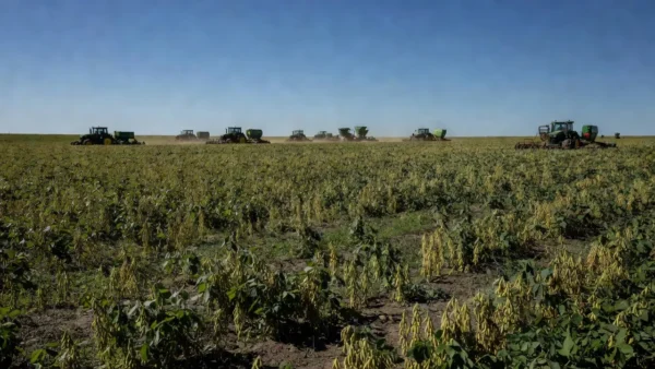 Próximo presidente deve enfrentar desafios como juros elevados e mudanças climáticas Reprodução/Record News
