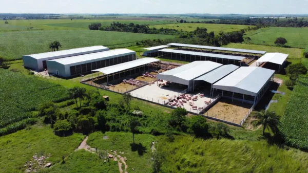Agroindústria brasileira de frango e suínos em fazenda no interior