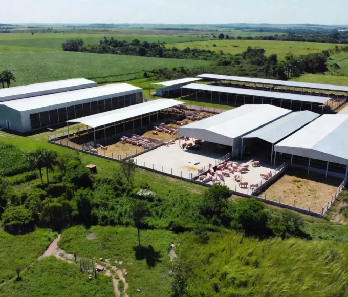 Agroindústria brasileira de frango e suínos em fazenda no interior