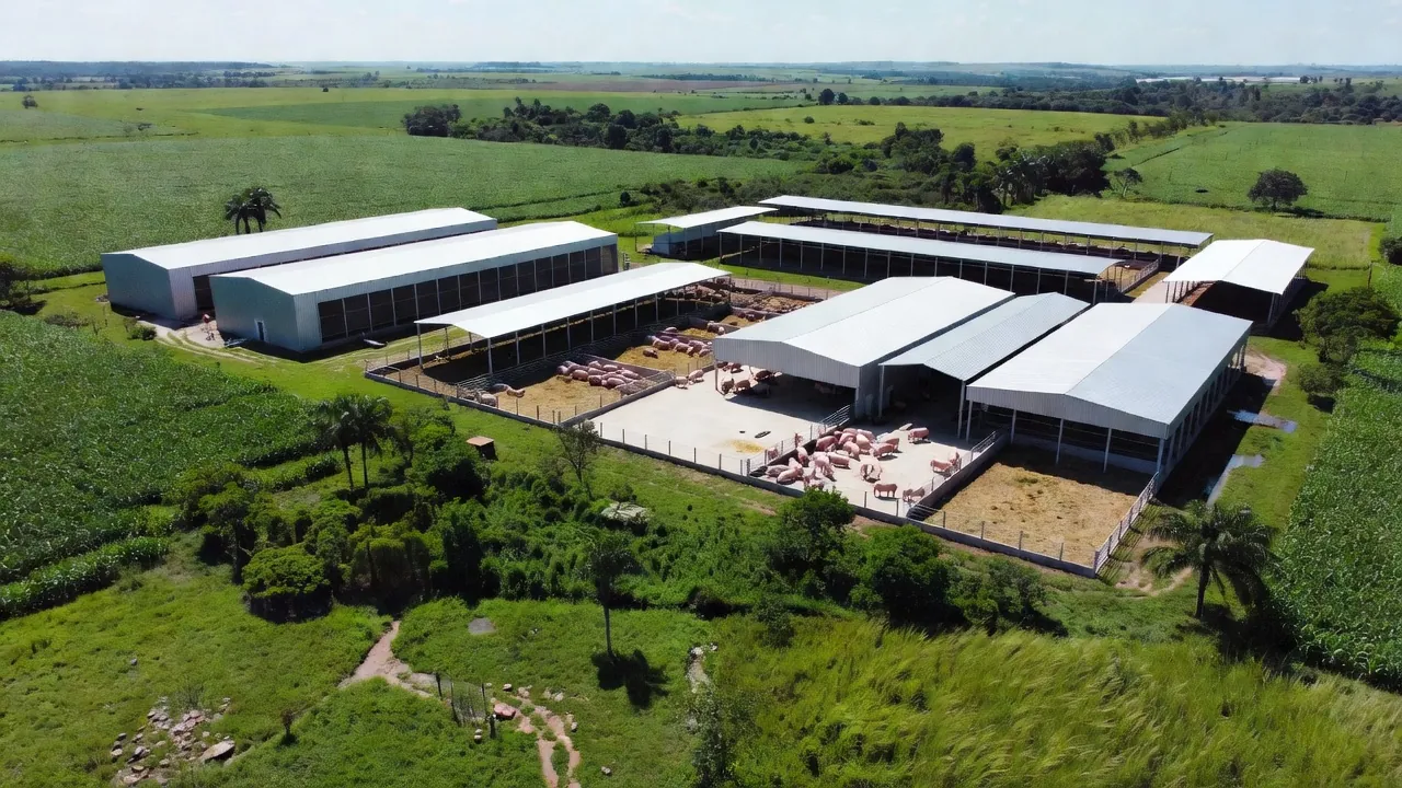 Agroindústria brasileira de frango e suínos em fazenda no interior
