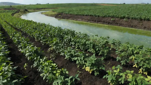 Um riacho atravessa uma área de cultivo em Marshalltown, em Iowa. — Foto: Brittany Peterson/AP