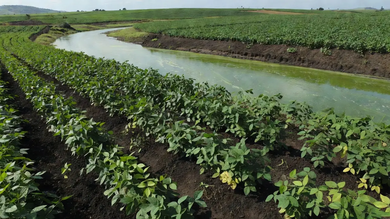 Um riacho atravessa uma área de cultivo em Marshalltown, em Iowa. — Foto: Brittany Peterson/AP