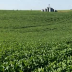 Lavoura de soja no Brasil e decisão do STF sobre Funrural