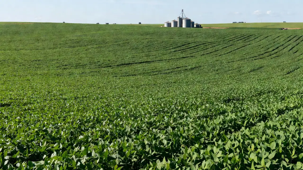Lavoura de soja no Brasil e decisão do STF sobre Funrural