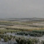 Paisagem do Sul do Brasil com geada por massa de ar polar