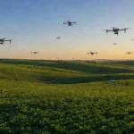 Drones agrícolas sobrevoando plantação de soja no Brasil