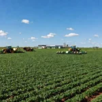 Plantação agrícola no Mato Grosso com tecnologias modernas para capacitação no IFMT