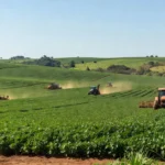 ILP como alternativa para elevar a produtividade